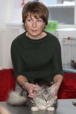 �������� ����� '������� ���-�����' 30 ������-1 ������� 2013., WCF-����� 2903